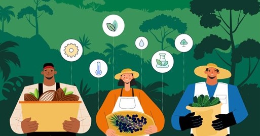 Currículo de referência para curso técnico em bioeconomia (versão reduzida - 18 componentes)