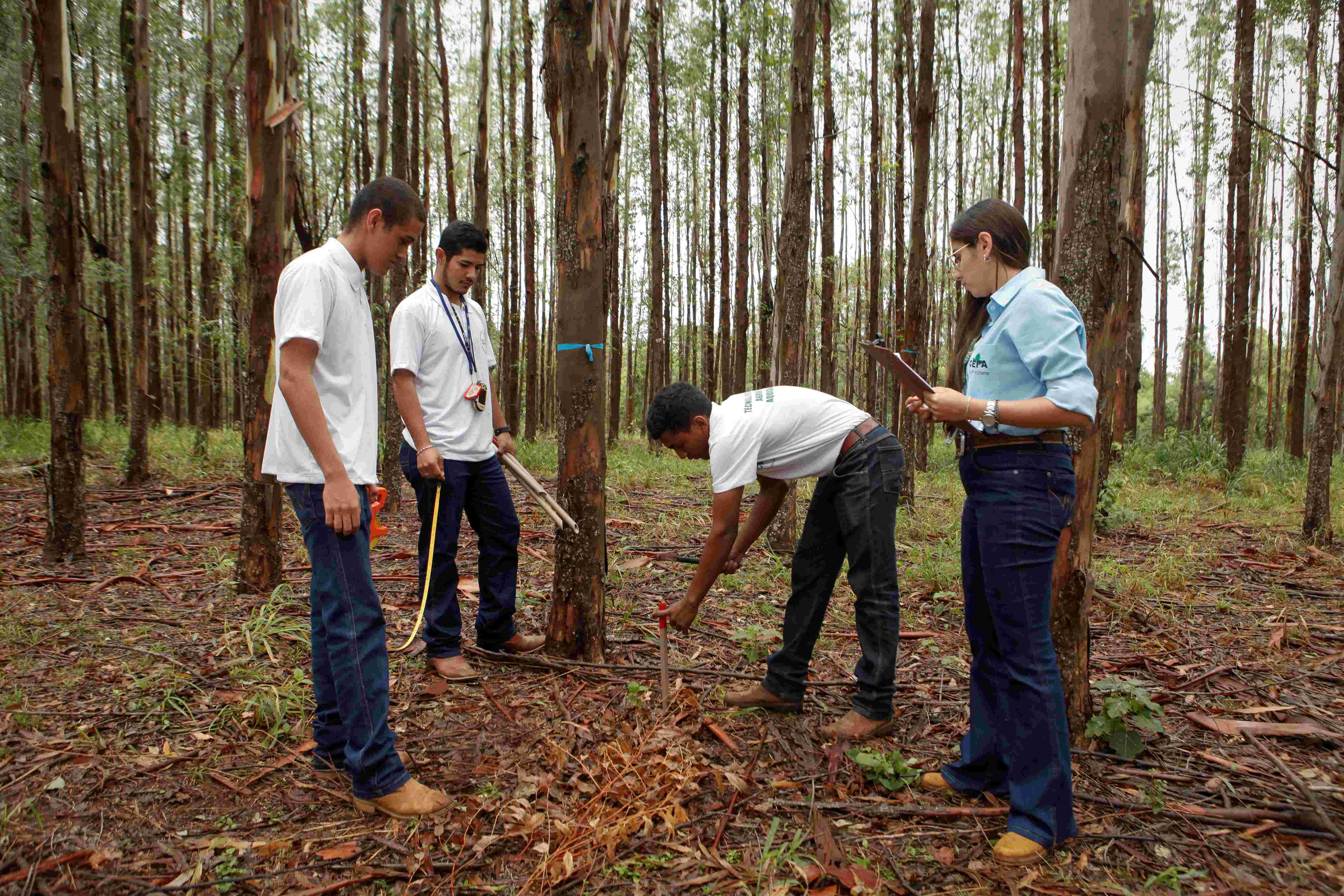 Olimpíada Brasileira de Agropecuária inscreve estudantes de cursos técnicos até 27/3